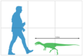 Updated size chart