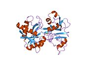 1vfe: 사람 락토페린. Arg 121 잔기가 Ser으로 치환된 N-말단 lobe 돌연변이 (R121S)