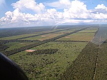 Clearings for cattle grazing in the Chaco region of Paraguay ParaguayChaco Clearings for cattle grazing.jpg