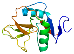 Protein CD69 PDB 1e87.png