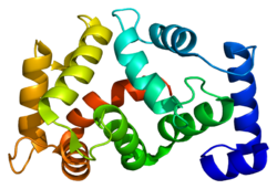 Протеин KCNIP1 PDB 1s1e.png