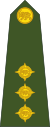 Rhon-Army-OF-2.svg