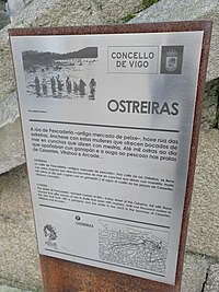 Nº 7: Ostreiras