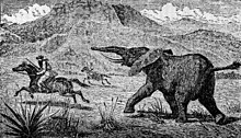 Explorer and big game hunter Samuel Baker chased by an elephant, illustration from 1890 Samuel Baker chased by an elephant.jpg