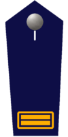 Oberbrandrat/-rätin