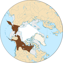 Distribuição geográfica do esquilo-do-ártico.