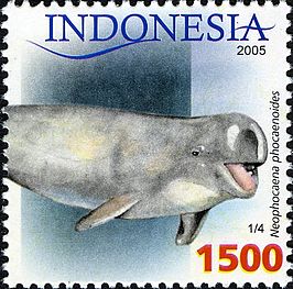 Indische bruinvis