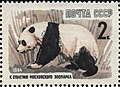 Original image, giant panda