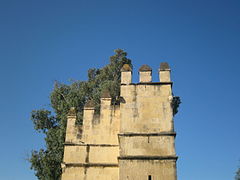 Առյուծների աշտարակ (2)