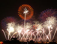 Tsuchiura Fireworks Competition 2009 a.jpg