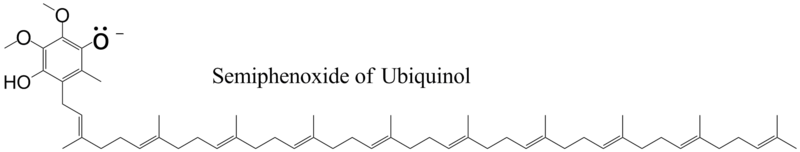 Ubiquinol, semifenóxido