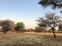 XBG-Antenne in the center of Picture