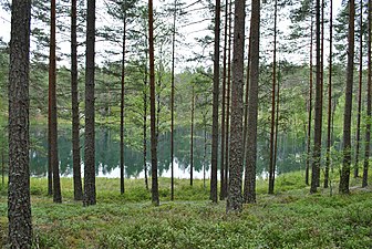 Den vattenfyllda dödisgropen Sundstjärn