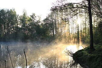 Verler See