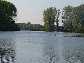 Le marais du Warlet