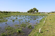 指定地。向かい側の実験地で草刈り作業が行われている。