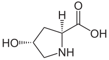 (2S, 4R) -4-hydroxyprolin.svg