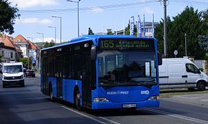 165-ös busz