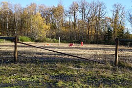 Des barrières en bois dans une zone défrichée.