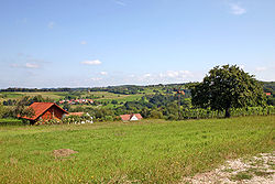 pogled na Andrejce