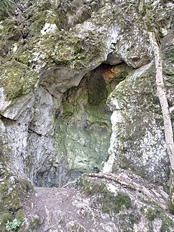 A Bajóti Lepkés-barlang bejárata