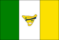 Bandeira de Barra de Santo Antônio