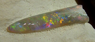 Opalized belemnite, Coober Pedy