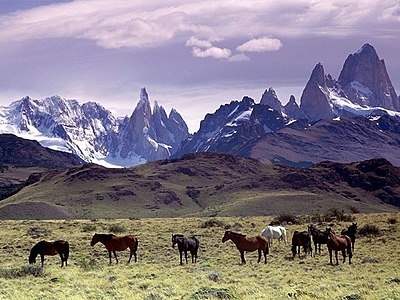 Patagonia 400px-Cavalli_Al_Pascolo_Ai_Piedi_Del_Massiccio_Del_Fitz_Roy,_Patagonia