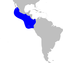 Distribución más frecuente, con avistamientos en otros lugares