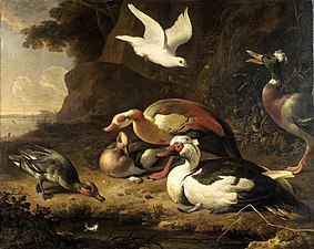 Ducks (ca. 1675-80), oil on canvas, 93 x 116 cm., Rijksmuseum