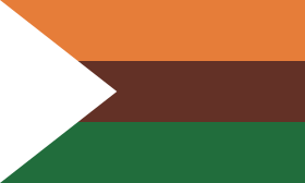 Gradska zastava