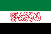 Флаг сирийского правительства спасения.svg