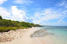 Le littoral des îles de la Petite-Terre