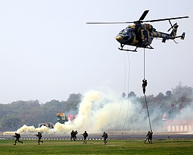 Des soldats de l'armée effectuent un exercice lors du défilé de la Journée de l'armée à New Delhi le 15 janvier 2013