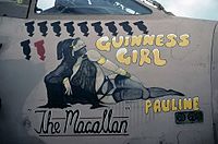 Gulf War Buccaneer nose art.