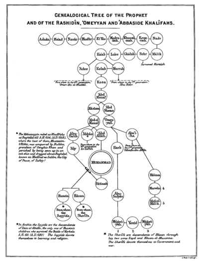 Genealogical Tree of the Prophet and of the Rashidîn, 'Omeyyan and 'Abbaside Khalîfahs.