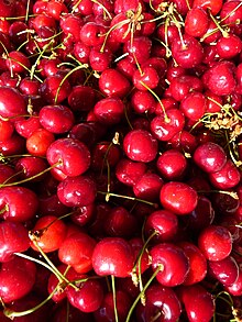 Prunus avium, sweet cherry (a true cherry species) Italienische Susskirschen.JPG