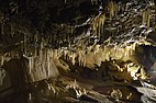 Jaskinia Niedźwiedzia (Bear Cave)