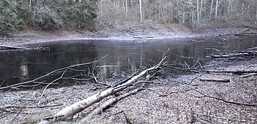 Kõverjärv Tuksmani soos