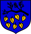 Wappen von Laziska Górne