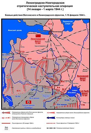 Ленинградско Новгородская операция 1944 г. 3 бой 1-15-2-44.jpg