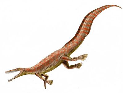 Recostruzione di Mesosaurus