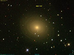 NGC 1167