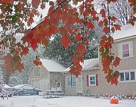 Snow falling into the backyard of a light brown house and garage. In the upper foreground are branches with leaves, mostly red but with some remaining green. A rubber inflatable jack o'lantern is in the lower right corner.