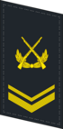 PLANF-Collar-0705-SSG.png