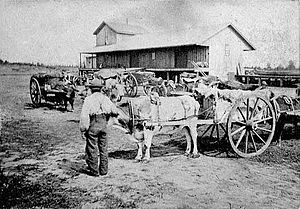 Red River ox cart at railway station