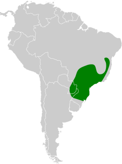 Distribución geográfica del llorón verdoso.
