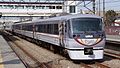 Set 10103 in Platinum Express Chichibu Ver. livery in March 2017