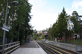 Skådalen