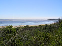 Swan Bay seen from the shoreline